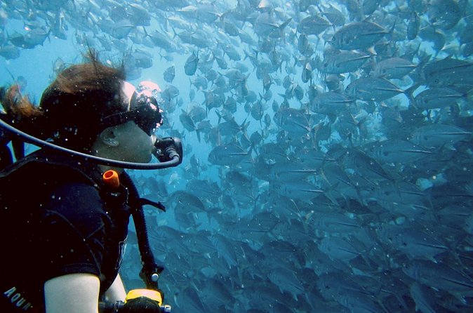 Koh Samui 2-Dive Trip to Sail Rock for certified divers - Timing, weather, and the cancellation rules that matter