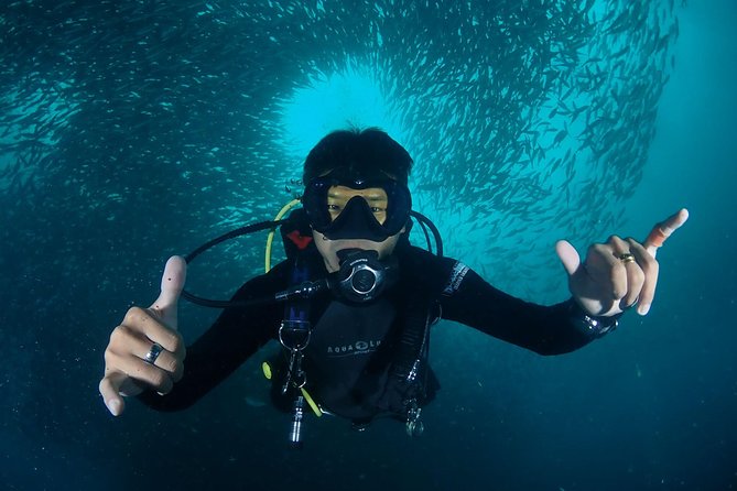 Koh Samui 2-Dive Trip to Sail Rock for certified divers - Is $180.91 fair for a seven-hour day?