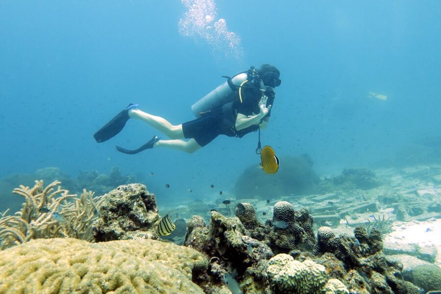 Koh Samui: Day Trip Diving at Sail Rock - Lunch between the two sessions