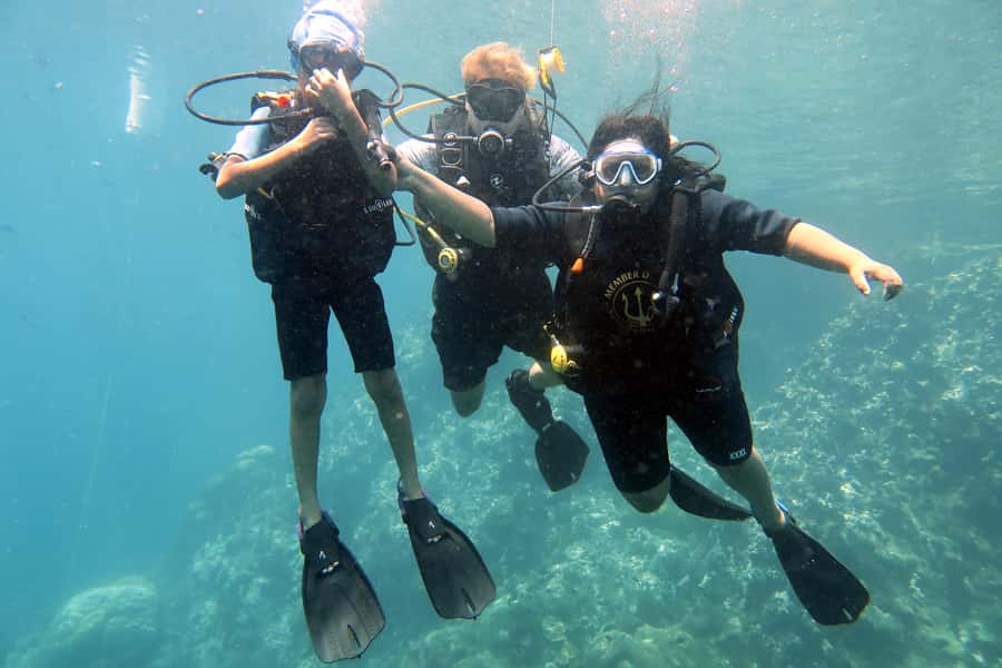 Koh Samui: Discover Scuba Diving - Your first underwater session near Koh Samui