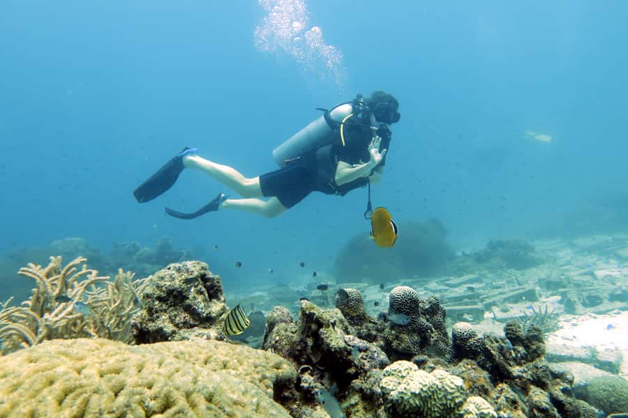 Koh Samui: Discover Scuba Diving - Should you book it?