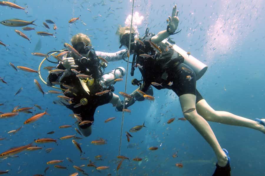 Koh Samui: Discover Scuba Diving - Mango Bay and Japanese Garden underwater