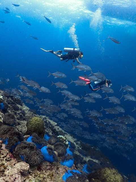Koh Samui: Discovery Dive to Koh Tao or Sail Rock - The second 50-minute session