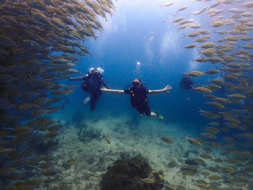 Koh Samui: Discovery Dive to Koh Tao or Sail Rock - What to pack and what not to expect