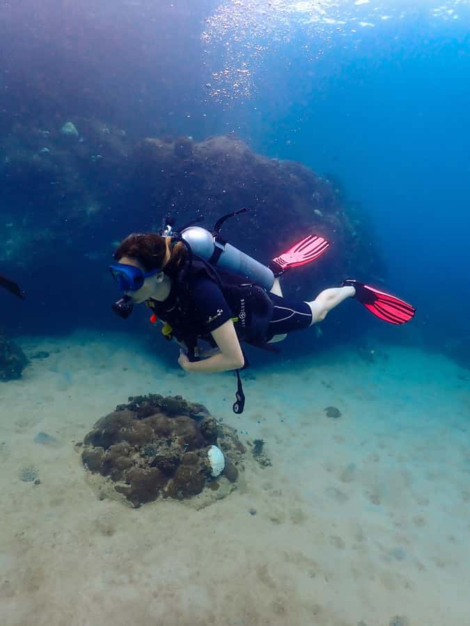 Koh Samui: Dive Tour to Koh Tao - The speedboat crossing to Koh Tao