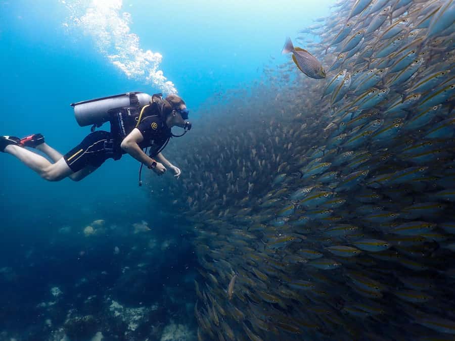 Koh Samui: Dive Tour to Koh Tao - The early pickup between Mae Nam and Lamai