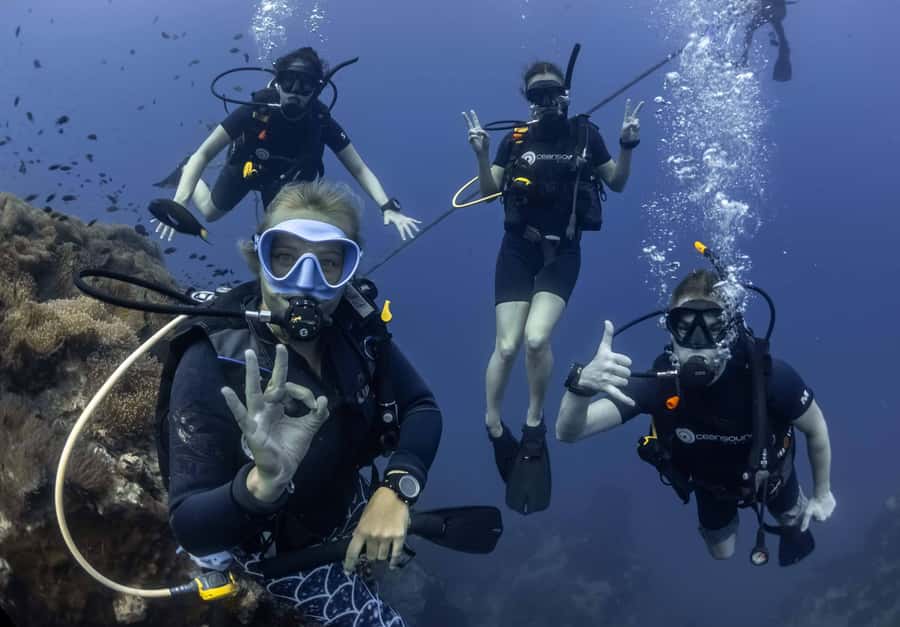 Koh Tao: PADI Premium Open Water Diver Course - Learning scuba on Koh Tao’s coral reefs