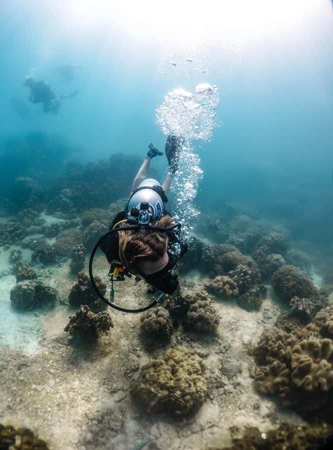 Koh Tao: PADI Premium Open Water Diver Course - Safety, health, and practical limits