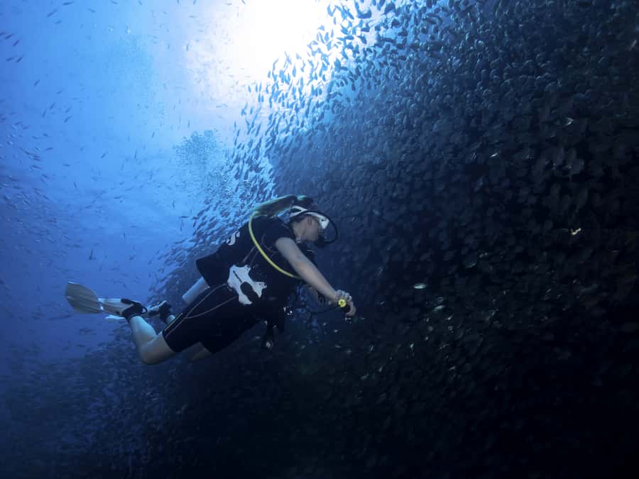 Koh Tao: Private Basic Diver Experience with 2 Dives - Key points to know before booking