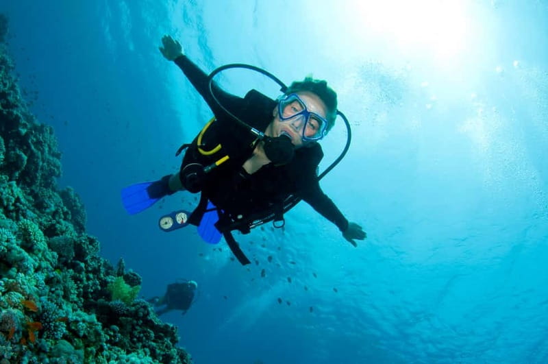Kos: Try Scuba Diving with a diving boat - What this Kos morning is really like