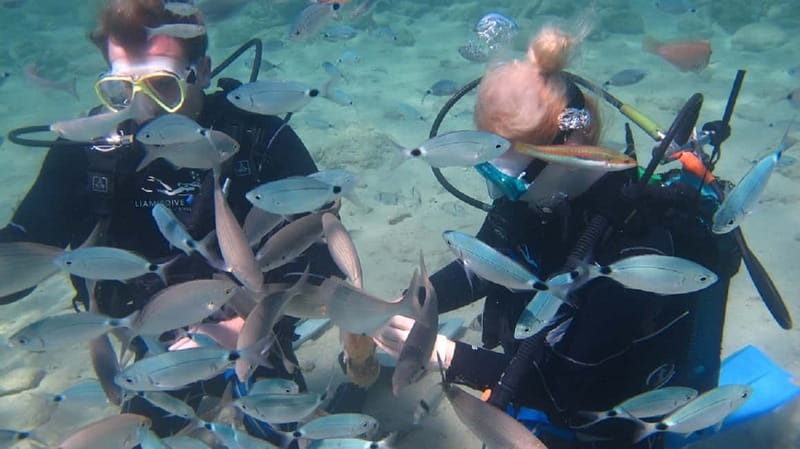 Kos: Try Scuba Diving with a diving boat - The safety briefing before you enter the water