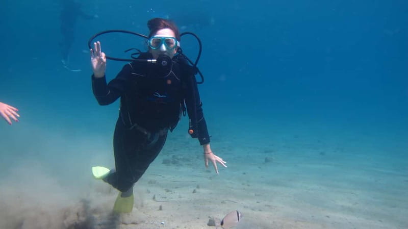 Kos: Try Scuba Diving with a diving boat - Is the $123 price fair?