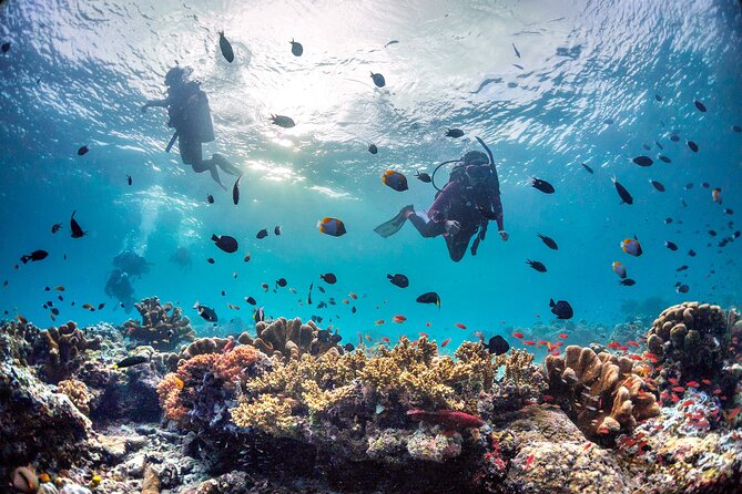 Kota Kinabalu Leisure Scuba Diving Trip (3 Dives) - What the three underwater sessions are like
