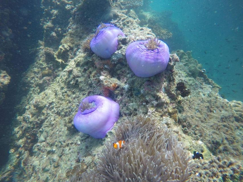 Krabi: Freediving and Snorkeling at Yawasam and Talu Island - Who should choose this Krabi boat trip?