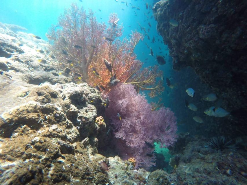 Krabi: Freediving and Snorkeling at Yawasam and Talu Island - The ride back past Railay