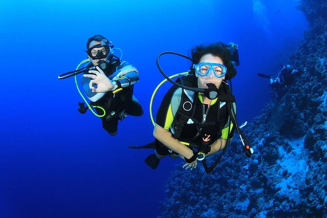 Kusadasi Scuba Diving Experience w/Instructor incl. Transfer - How the $66.08 price measures up