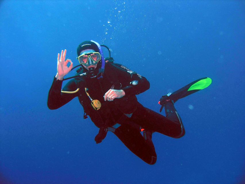 Kusadasi: Scuba Diving for Beginner or Experienced w/ Lunch - What your seven hours in Kusadasi look like