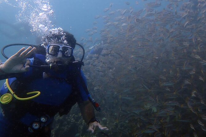 Kusadasi Scuba Diving Tour By Local Experts - Meeting the boat at 8:30 in Kusadasi