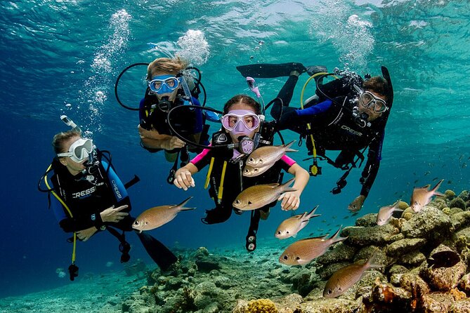 Kusadasi Scuba Diving Tour By Local Experts - Practical details to settle before you go