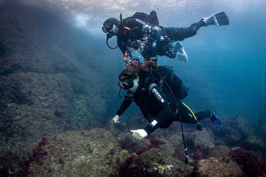 L'Estartit: Dive and Snorkeling in Montgrí Natural Park - Your first underwater session near LEstartit