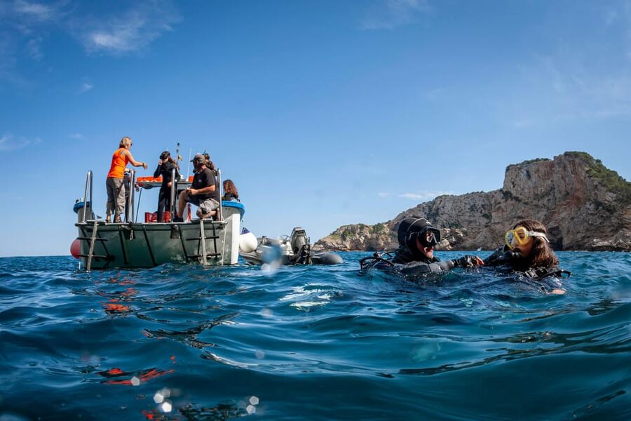 L'Estartit: Dive and Snorkeling in Montgrà Natural Park - From Medaqua to the Costa Brava water