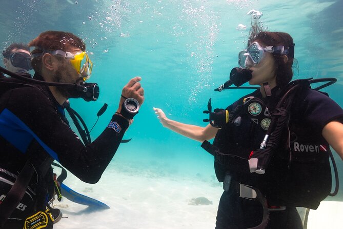 La Bombona Diving Koh Tao Open Water Course - Classroom basics before you enter the water