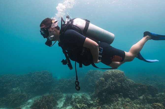 La Bombona Diving Koh Tao Try Dive - Calm water first, then 12 meters below