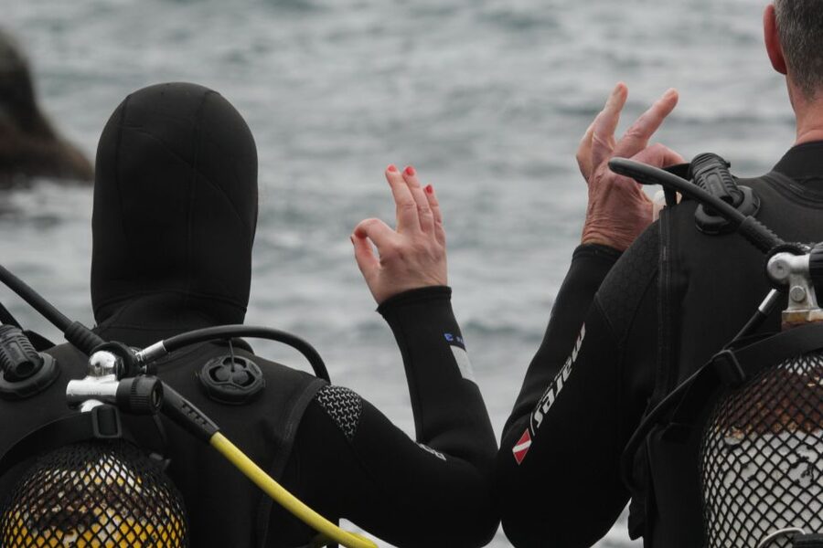La Palma: Basic Diver Certification with 2 Atlantic Dives - Why the three-person limit matters