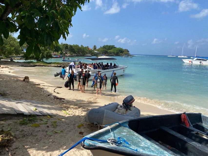 La Romana: 3-Day PADI Open Water Diver Course - Who should book, and who should think twice