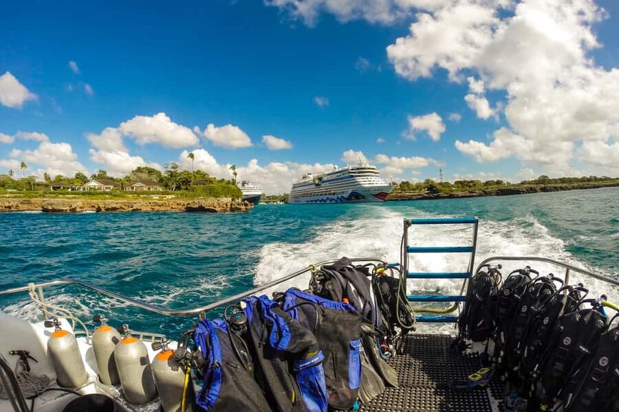 La Romana: Scuba Diving in Catalina Island - Two underwater sites, one long Catalina Island day