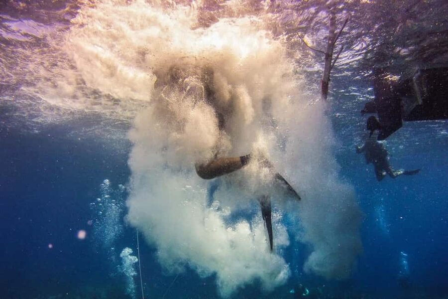 La Romana: Scuba Diving in Catalina Island - Should you book it?
