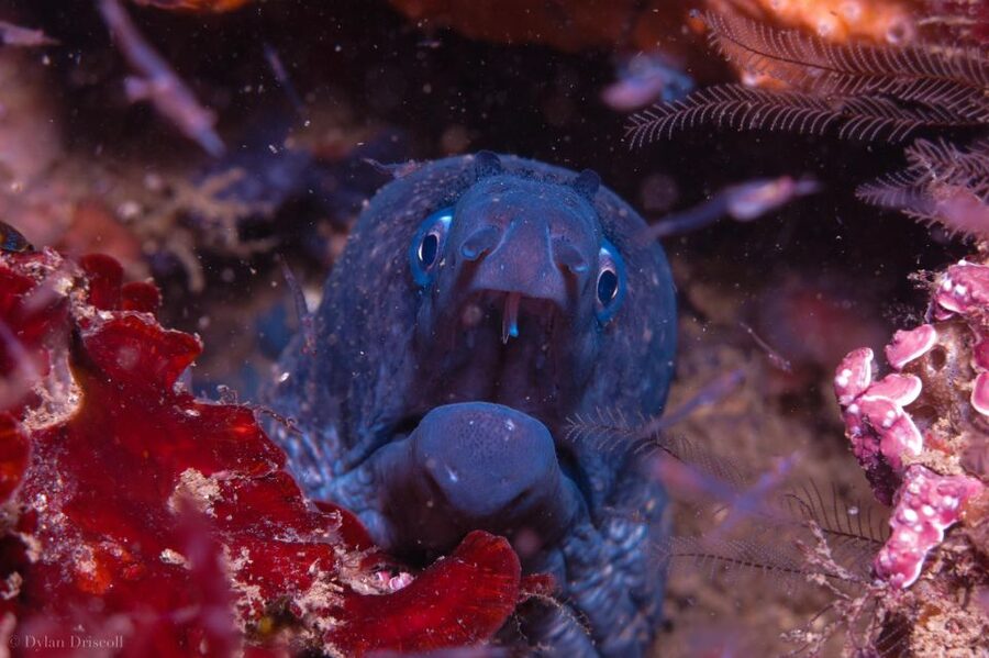 Lagos: Guided Scuba Diving Trip for Beginners - Getting fitted with full equipment