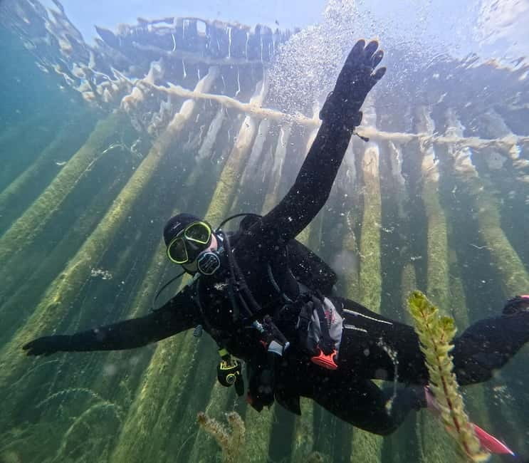 Lake Ohrid: Try Diving at the Bay of the Bones - Key points to know before you book