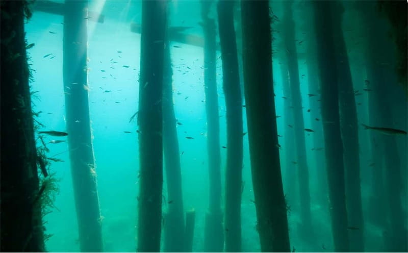 Lake Ohrid: Try Diving at the Bay of the Bones - Booking, cancellation, and practical preparation