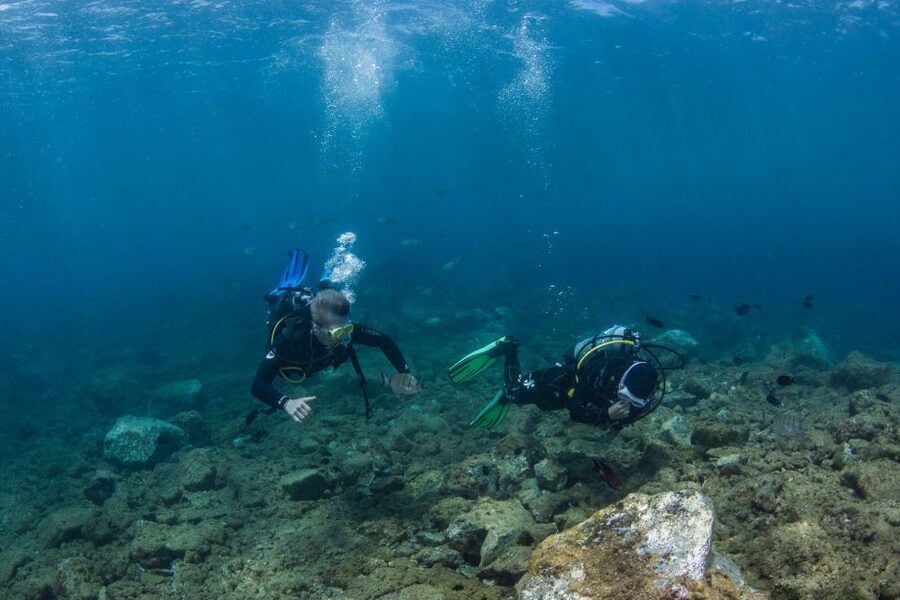 Lanzarote: 2-dive package in Playa Blanca - certified divers - Should you book these two Playa Blanca sessions?