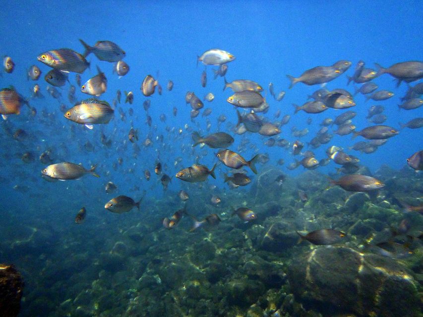 Lanzarote: 2-dive package in Playa Blanca - certified divers - What the five-hour schedule feels like