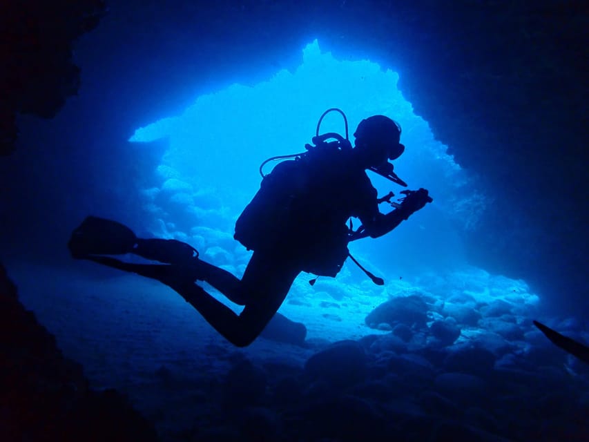 Lanzarote: 2 Guided Dives (Certified Divers Only) - How the Reviews Shape My View