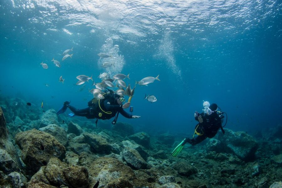Lanzarote: Beginner Scuba Diving from the Beach - A private session with useful human support