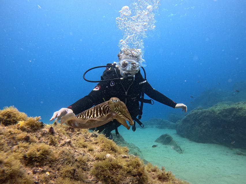 Lanzarote: Intro to Diving Experience for Beginners - A gentle introduction at Puerto del Carmen