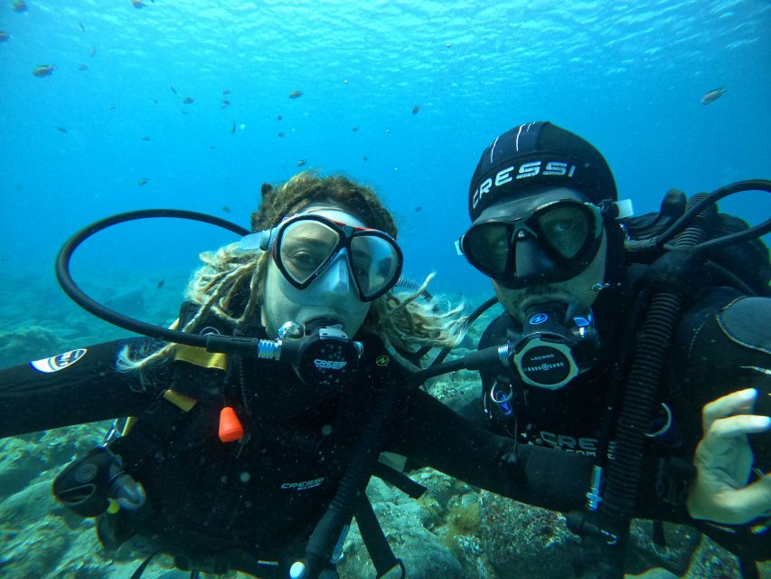 Lanzarote: Intro to Diving Experience for Beginners - What you see around the rocks