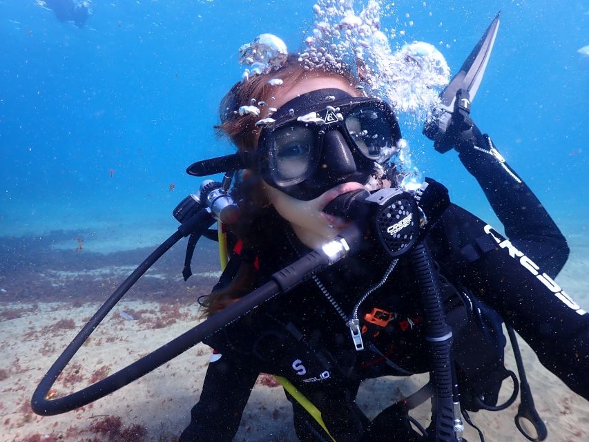 Lanzarote: Intro to Diving Experience for Beginners - Who should book this session