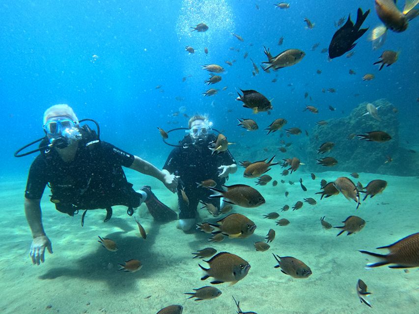 Lanzarote: Intro to Diving Experience for Beginners - Should you book the Lanzarote try scuba session?