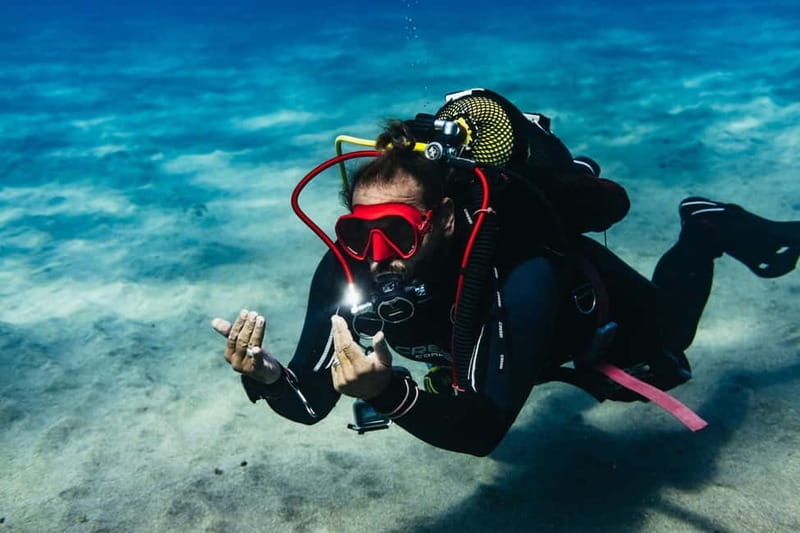 Lanzarote: Scuba Dive at Museo Atlántico for Beginners - Why Museo Atlántico Makes a Good First Underwater Outing