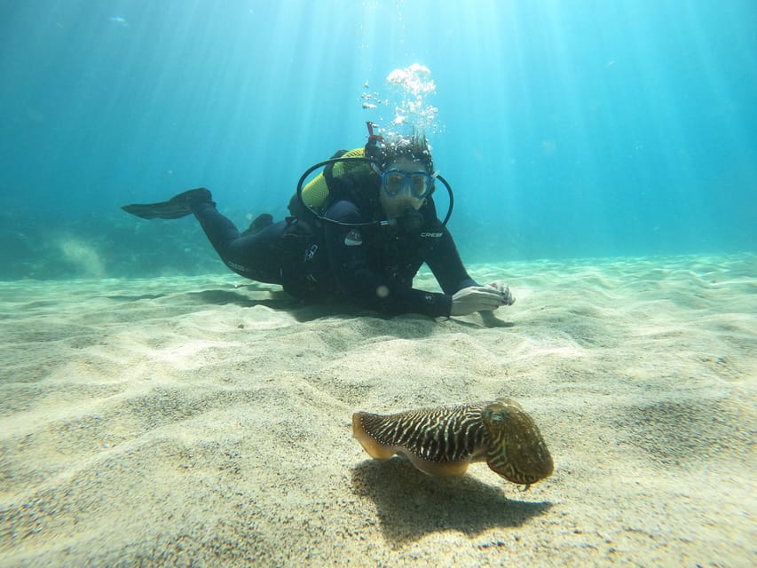 Lanzarote: Scuba Diving for Beginners with 2 Dives - Small groups and the human side of the activity