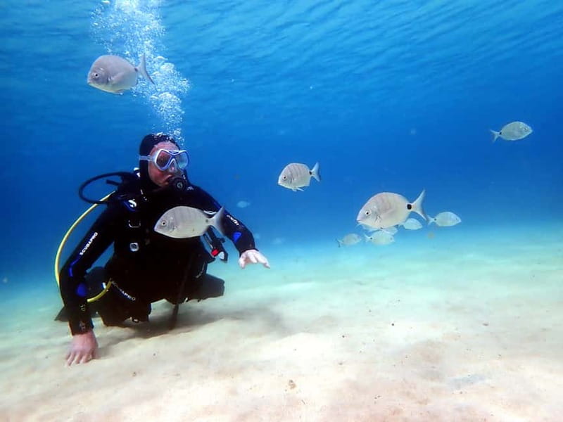Lanzarote: Small-Group Discover Scuba Diving Costa Teguise - A calm first taste of scuba at Playa del Jablillo