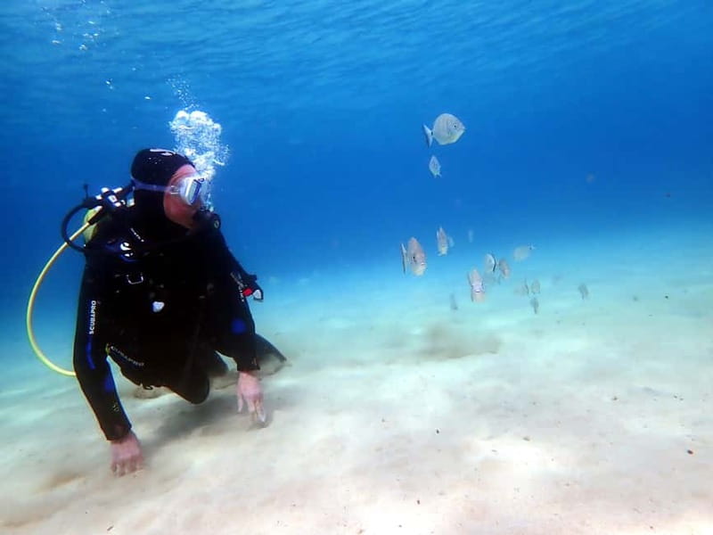 Lanzarote: Small-Group Discover Scuba Diving Costa Teguise - Practical preparation before pickup
