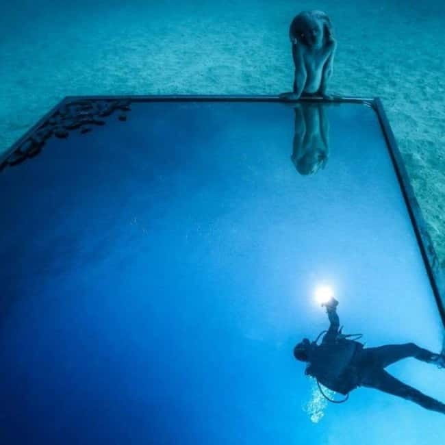 Lanzarote: Try Scuba Diving - Atlantic Museum (no-certified) - Flamingo Beach is your underwater classroom