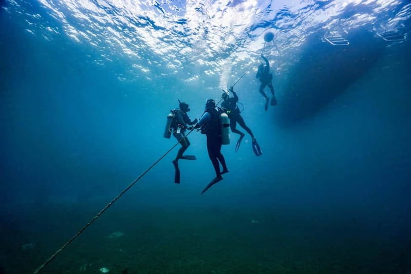 Lanzarote Your First Scuba Diving Experience - Timing, cancellation, and flying after the session
