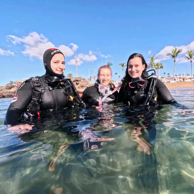Lanzarote Your First Scuba Diving Experience - What you may see below the surface