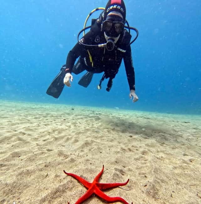 Lanzarote Your First Scuba Diving Experience - Who should book this experience